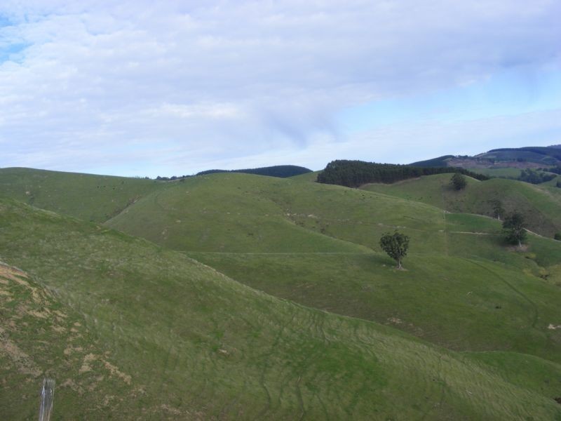 2090 Foster- Mirboo Road, Mirboo VIC 3871