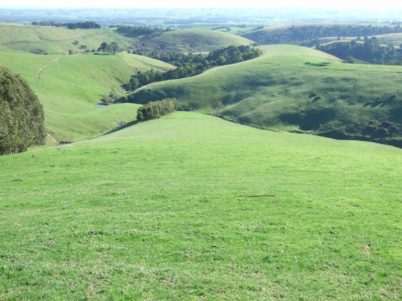 Stony Creek Road, Stony Creek VIC 3957