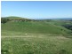 Stony Creek Road, Stony Creek VIC 3957