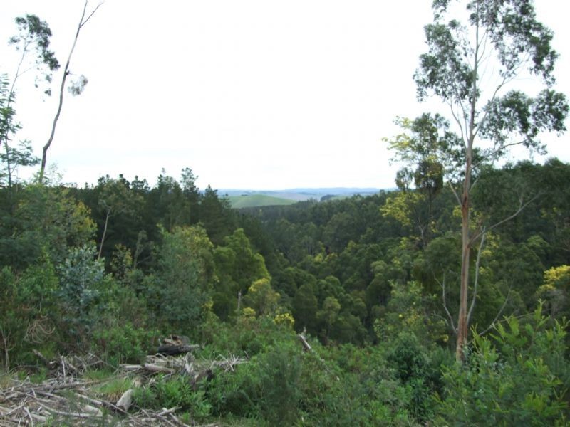 Campbells Road, Boolarra South VIC 3870