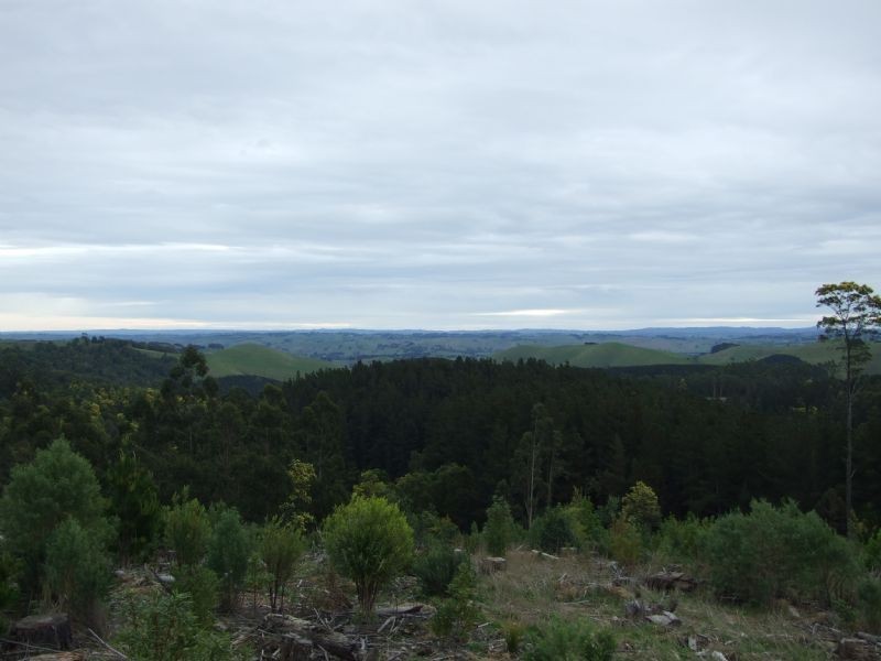 Campbells Road, Boolarra South VIC 3870