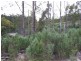 Campbells Road, Boolarra South VIC 3870