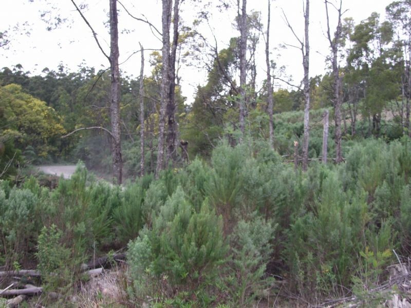 Campbells Road, Boolarra South VIC 3870