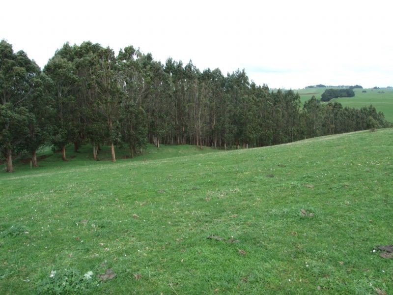 Lot 2 Mardan Road, Mirboo North VIC 3871