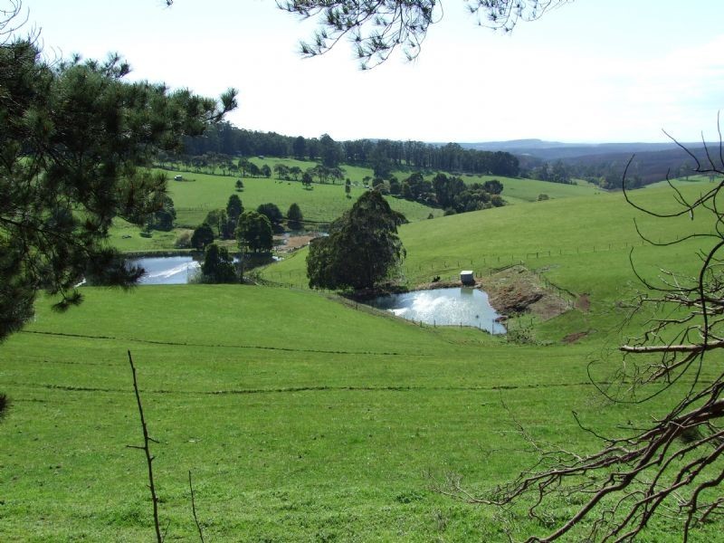 Boolarra Road, Mirboo North VIC 3871