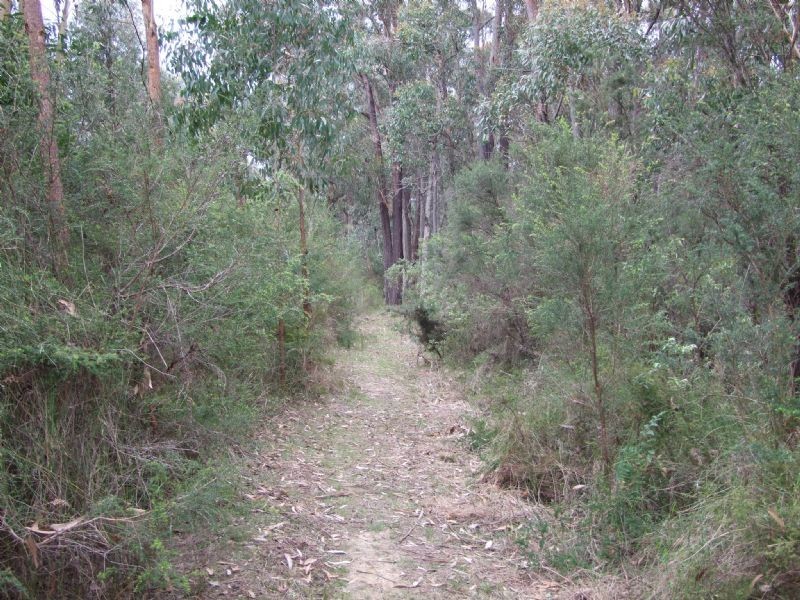 5 Grey Road, Mirboo North VIC 3871