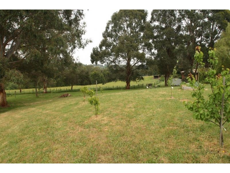 16 Jepson Court, Mirboo North VIC 3871