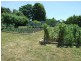 31 Giles Street, Mirboo North VIC 3871