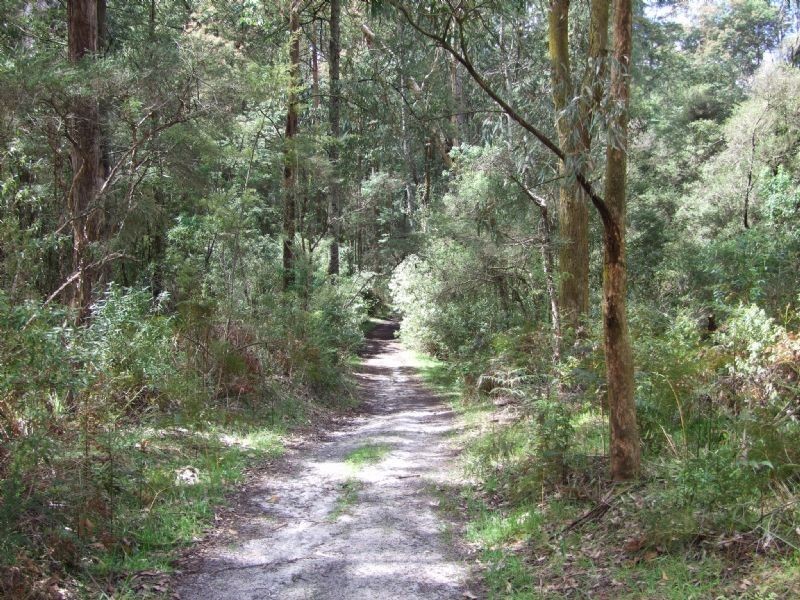 2630 Strzelecki Highway, Mirboo North VIC 3871