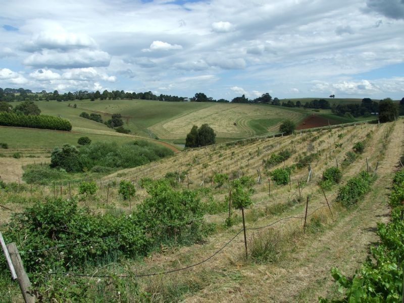 44 Giles Street, Mirboo North VIC 3871