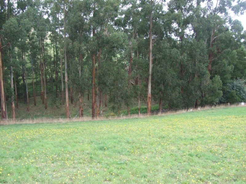500 Mirboo- Yarragon Road, Allambee VIC 3823