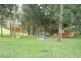 943 Mirboo – Yarragon Road, Mirboo North VIC 3871
