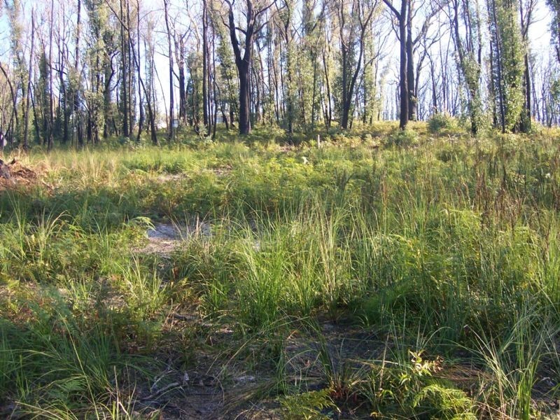 Lot 2 Hirsts Road, Boolarra VIC 3870
