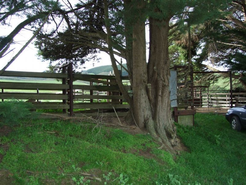 0 Clear Creek Valley Road, Mirboo VIC 3871