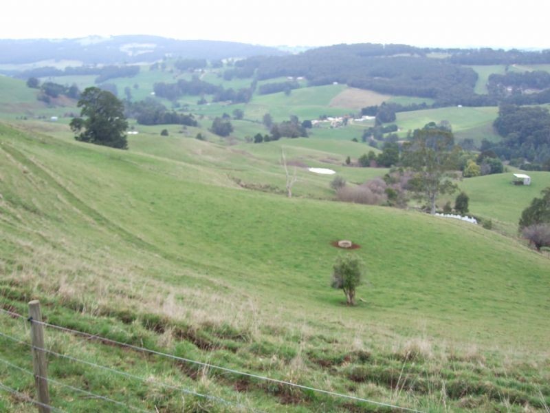 325 Old Yarragon Rd, Mirboo North VIC 3871