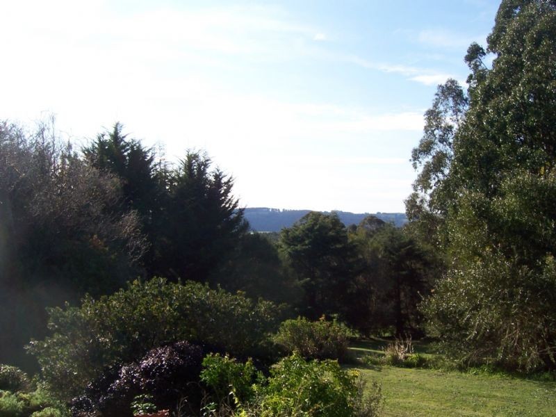 15 Old Darlimurla Road, Mirboo North VIC 3871
