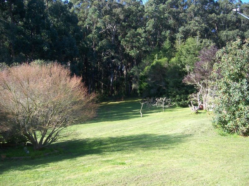 15 Old Darlimurla Road, Mirboo North VIC 3871