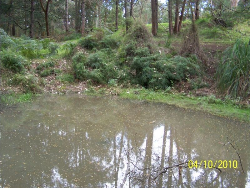 2610 Strzelecki Highway, Mirboo North VIC 3871