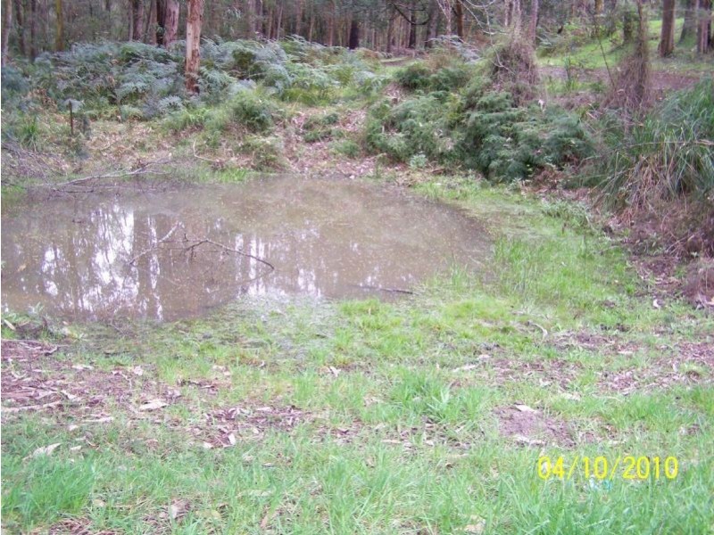 2610 Strzelecki Highway, Mirboo North VIC 3871