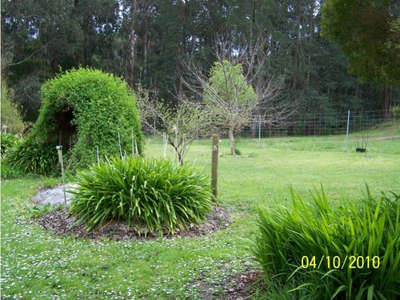 2610 Strzelecki Highway, Mirboo North VIC 3871