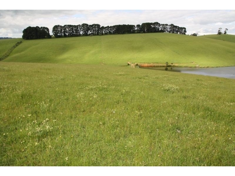 65 Mayalls Road, Mardan VIC 3953