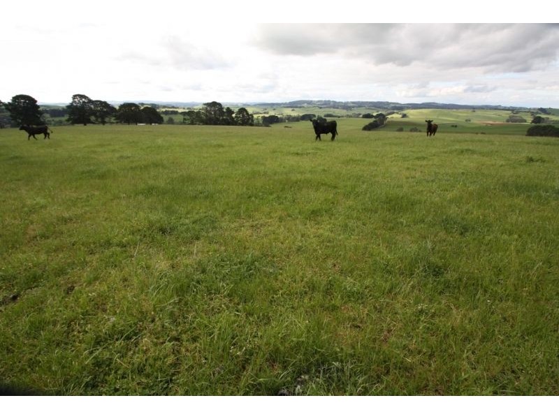 65 Mayalls Road, Mardan VIC 3953