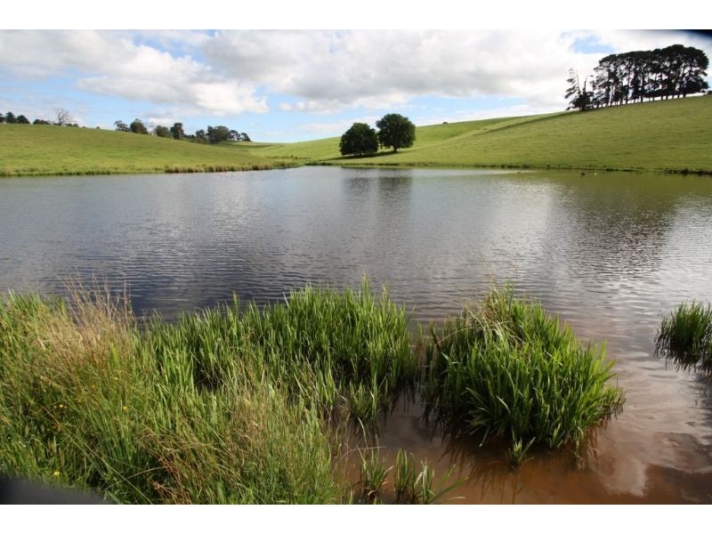 65 Mayalls Road, Mardan VIC 3953