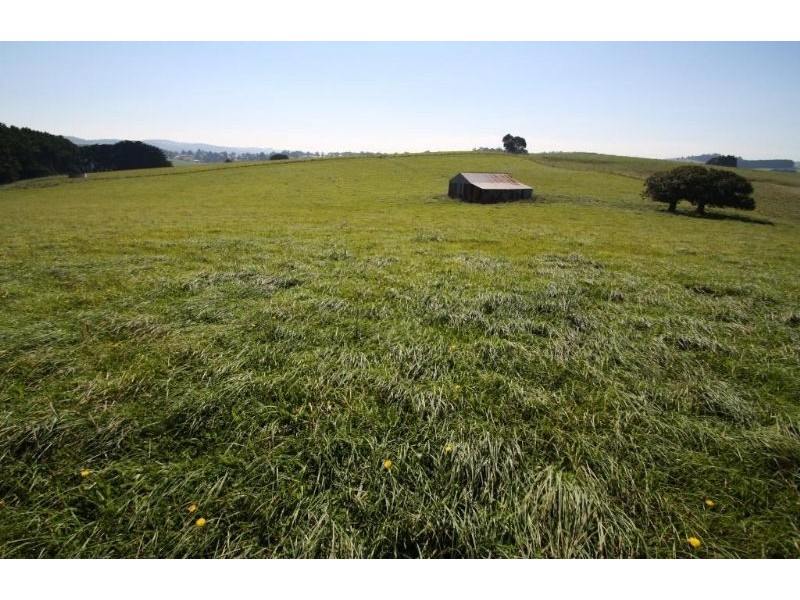 47 Old Mardan Road, Mirboo North VIC 3871