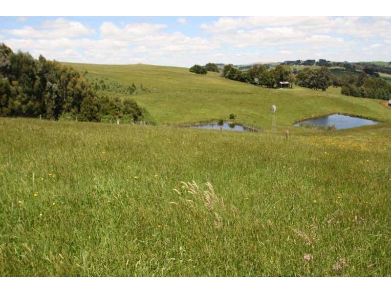 47 Old Mardan Road, Mirboo North VIC 3871