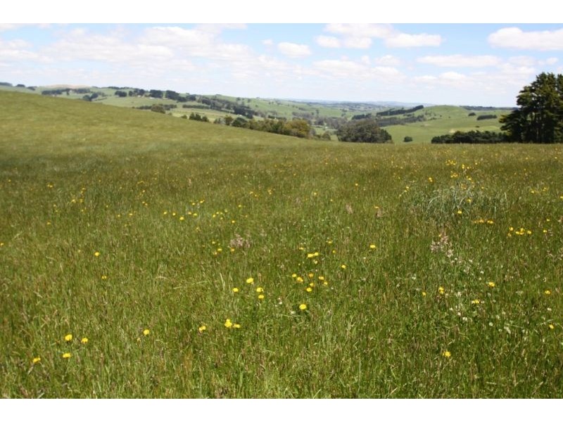 47 Old Mardan Road, Mirboo North VIC 3871