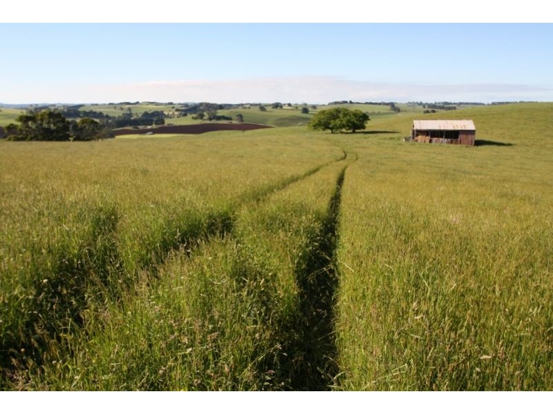 47 Old Mardan Road, Mirboo North VIC 3871