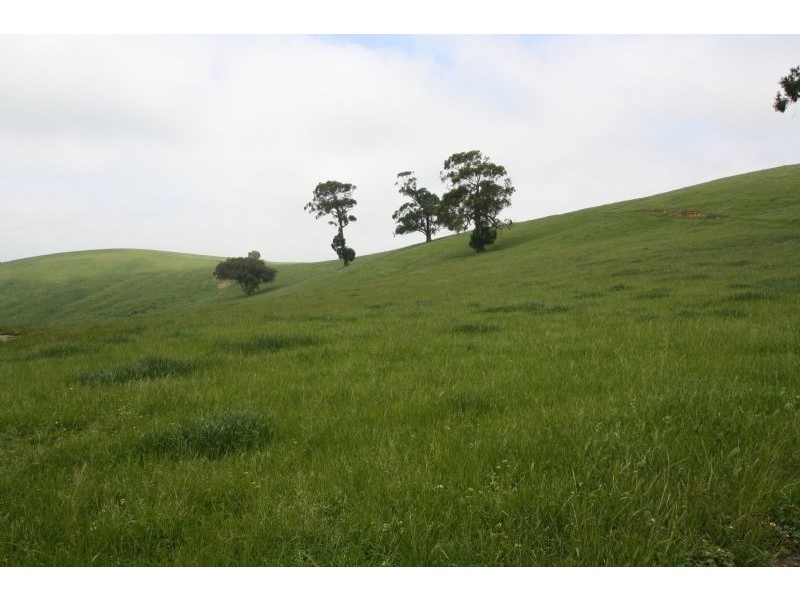 195 Hughes Road, Nerrena VIC 3953