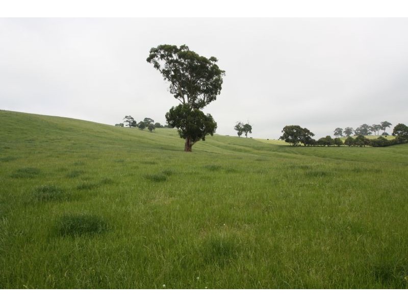 195 Hughes Road, Nerrena VIC 3953