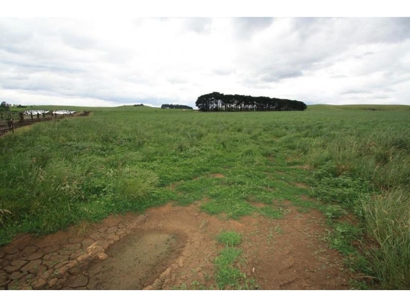 670 Boolarra- Mirboo North Road, Mirboo North VIC 3871