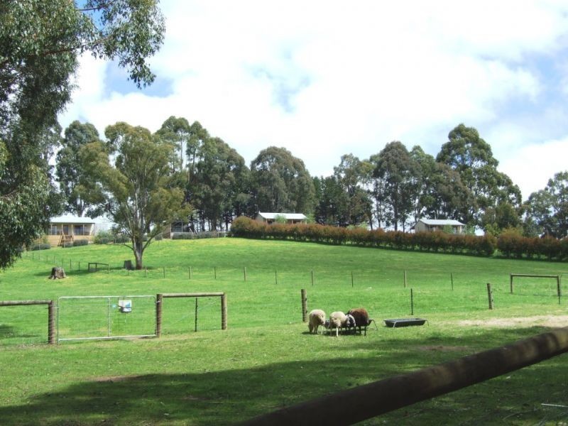 2630 Strzelecki Highway, Mirboo North VIC 3871