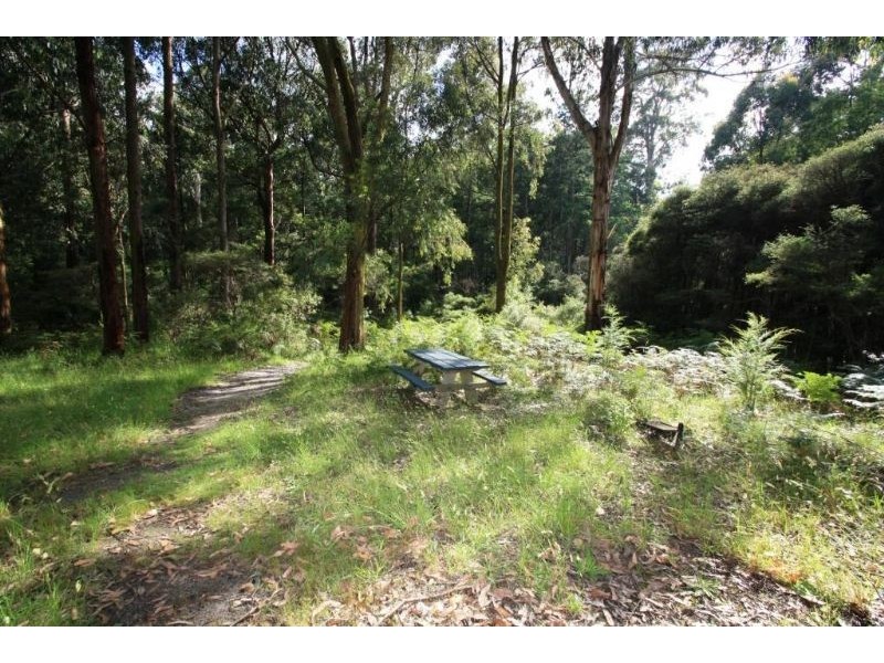 2630 Strzelecki Highway, Mirboo North VIC 3871