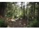 2630 Strzelecki Highway, Mirboo North VIC 3871