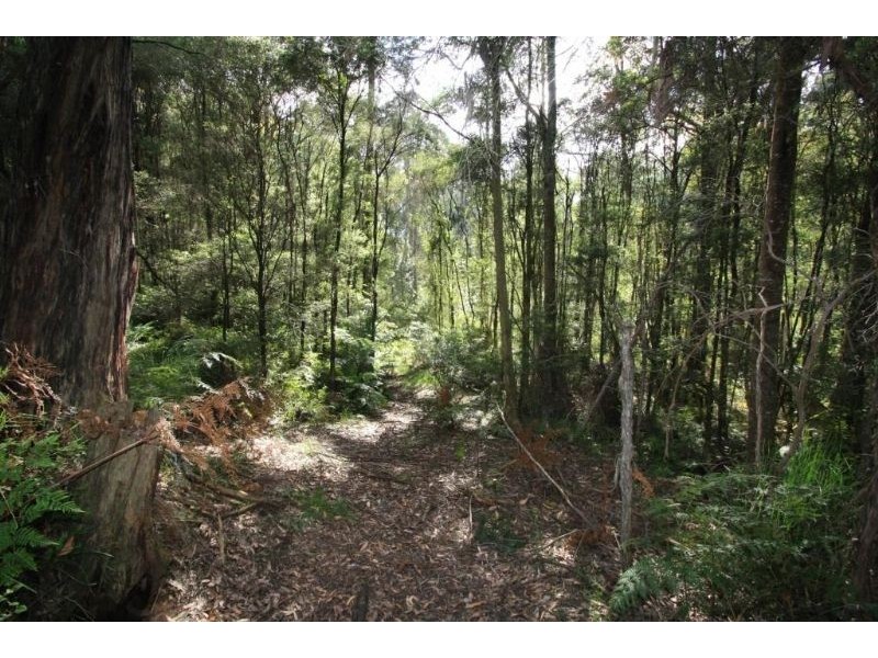2630 Strzelecki Highway, Mirboo North VIC 3871