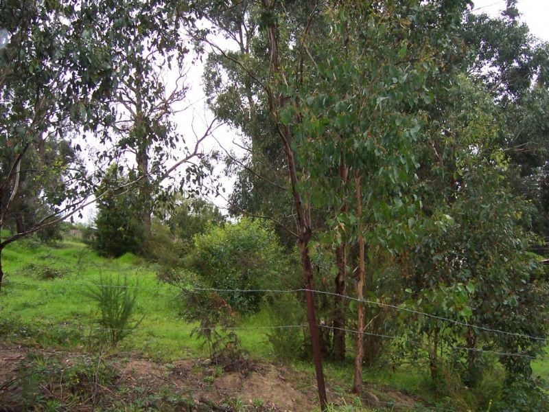 8 Bastin Street, Boolarra VIC 3870