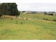 3755 Grandridge Road, Mirboo North VIC 3871