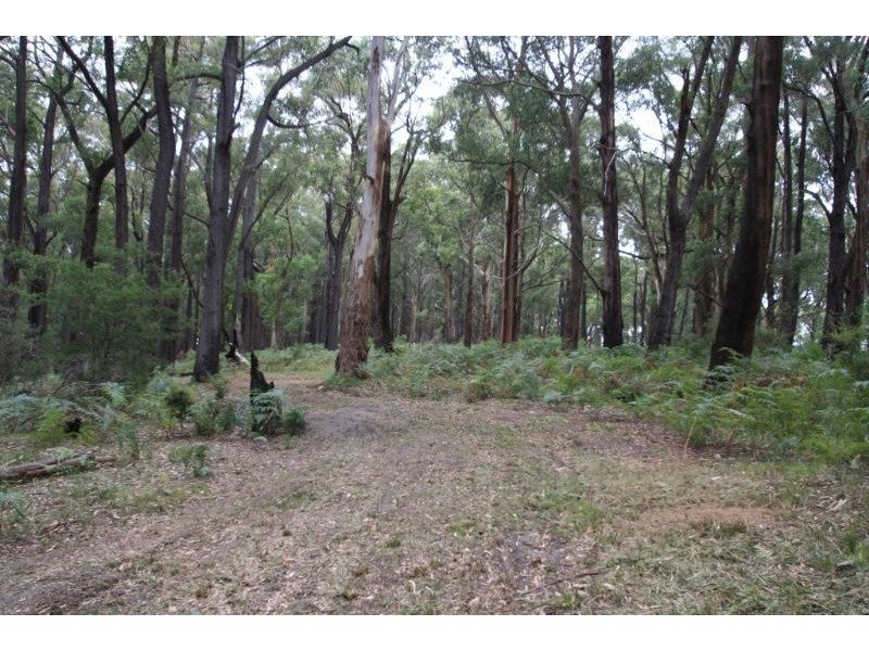 3755 Grandridge Road, Mirboo North VIC 3871