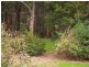 2610 Strzelecki Highway, Mirboo North VIC 3871