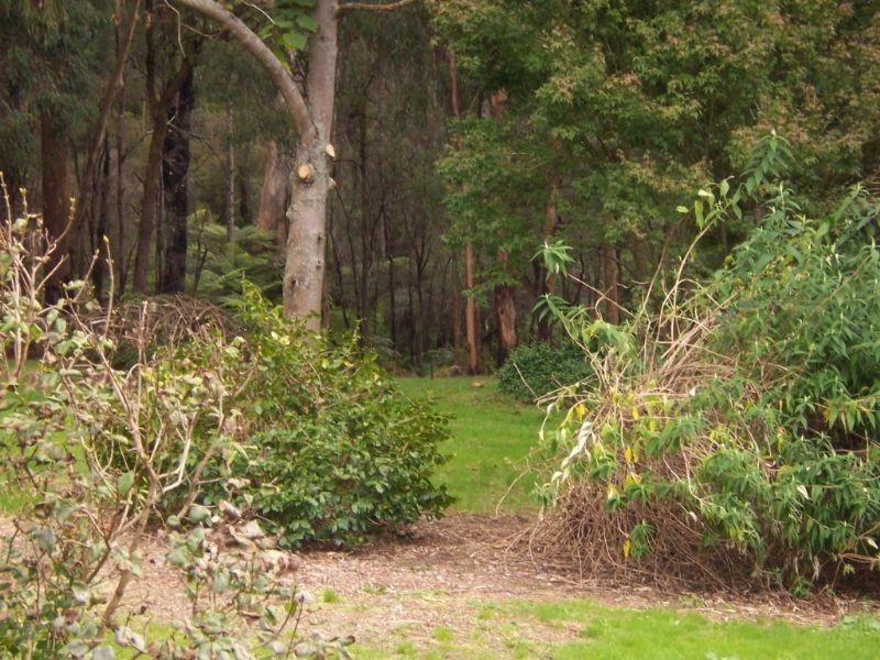 2610 Strzelecki Highway, Mirboo North VIC 3871