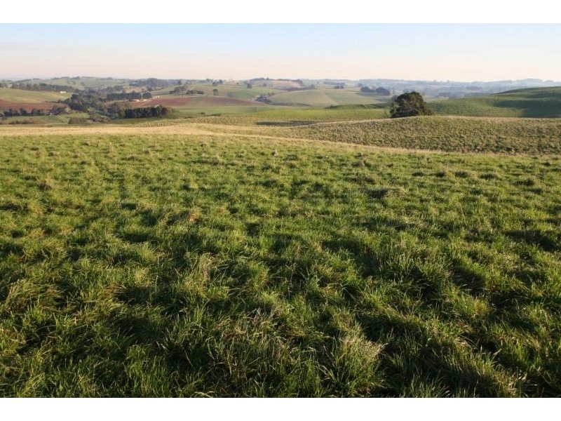 7 Old Mardan Road, Mirboo North VIC 3871