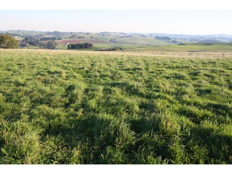 7 Old Mardan Road, Mirboo North VIC 3871