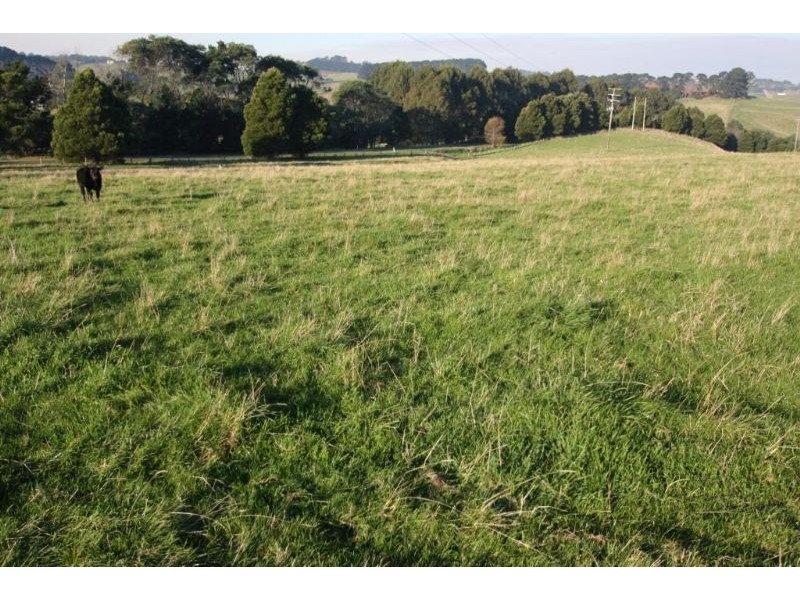 7 Old Mardan Road, Mirboo North VIC 3871