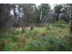 900 Darlimurla Road, Boolarra VIC 3870