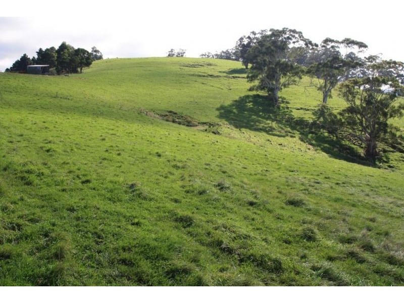 2145 Lehmans Road, Mount Eccles VIC 3953