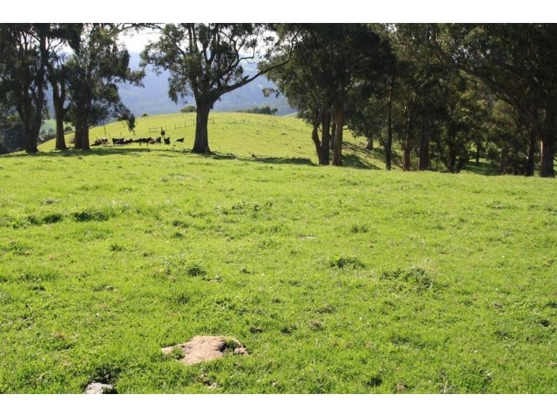 2145 Lehmans Road, Mount Eccles VIC 3953