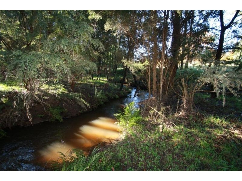 169 Darlimurla Road, Mirboo North VIC 3871